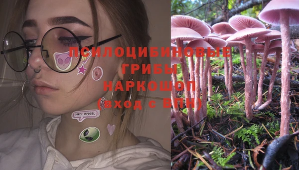 кристаллы Горняк