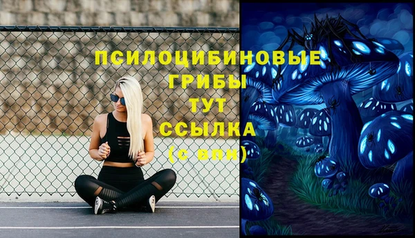 ешки Горно-Алтайск