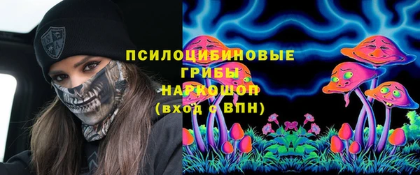ешки Горно-Алтайск