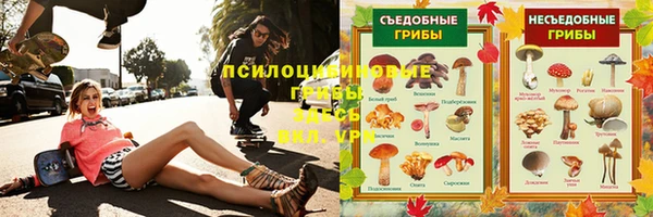 ешки Горно-Алтайск