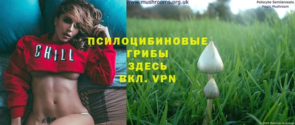 ешки Горно-Алтайск