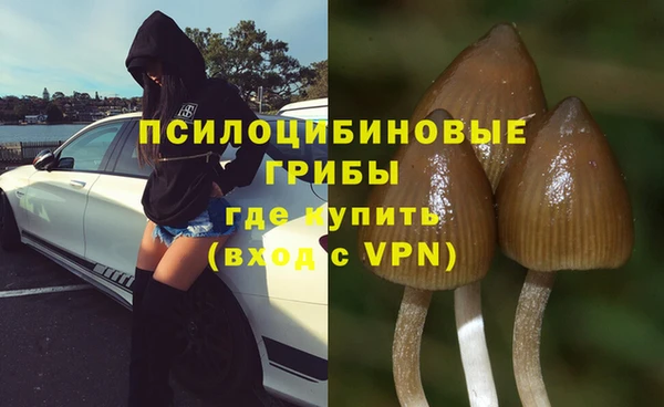 ешки Горно-Алтайск