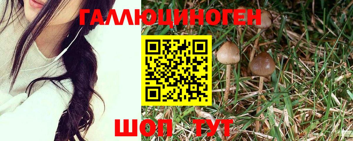 Псилоцибиновые грибы Psilocybe  Вход с VPN  Гуково  Галлюциногенные грибы ЛСД 